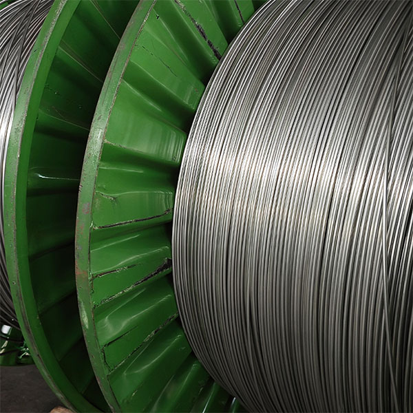 Downhole Control Line